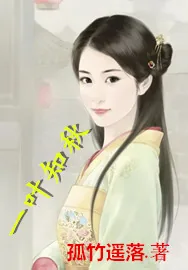 《一叶知秋》小说封面