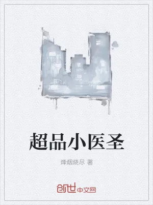 《超品小医圣》小说封面
