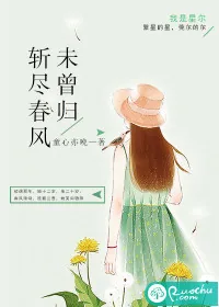 《斩尽春风未曾归》小说封面