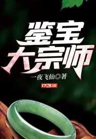 《鉴宝大宗师》小说封面