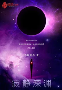 《寂静深渊》小说封面