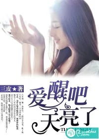 《爱醒吧，天亮了》小说封面