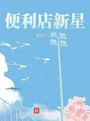 《便利店新星》小说封面