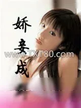 《娇妾成群》小说封面