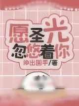 《愿圣光忽悠着你》小说封面