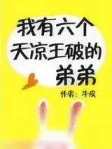 《我有六个天凉王破的弟弟》小说封面