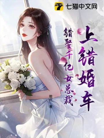 《上错婚车,错娶千亿女总裁》小说封面