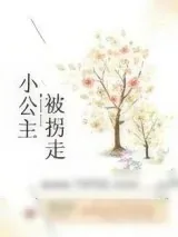 《小公主被拐走后》小说封面