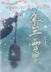 《年年雪里》小说封面