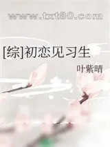 《[综]初恋见习生》小说封面