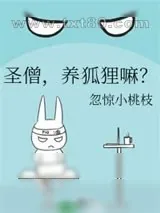 《圣僧,养狐狸嘛?》小说封面