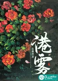 《港雾》小说封面
