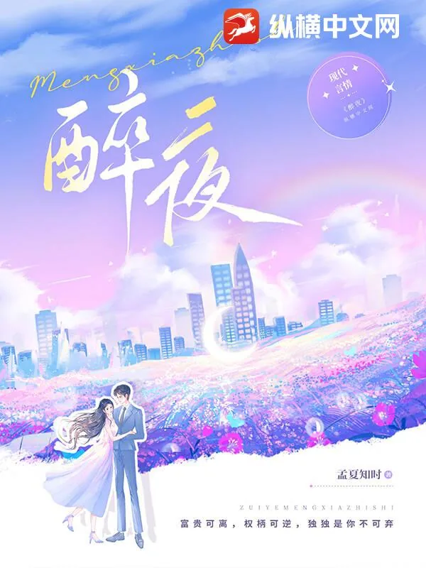 《醉夜》小说封面