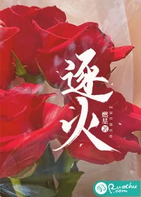 《逐火》小说封面