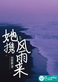 《她携风雨来》小说封面