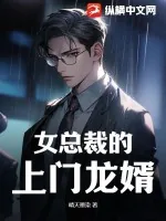 《女总裁的上门龙婿》小说封面