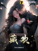 《藏欢》小说封面