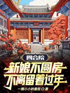 《四合院新娘不圆房不离留着过年？》小说封面