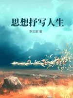 《思想抒写人生》小说封面