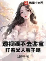 《透视眼不去鉴宝，盯着女人看干啥》小说封面