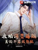 《夜场消费返现，真的不是我想玩》小说封面