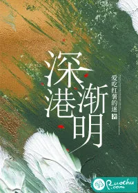 《深港渐明》小说封面