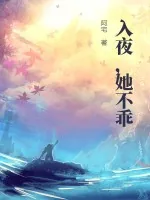 《入夜，她不乖》小说封面