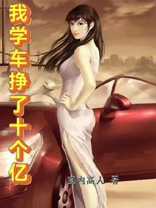 《我学车挣了十个亿》小说封面