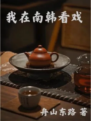 《我在南韩看戏》小说封面