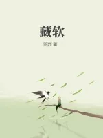 《藏软》小说封面
