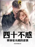 《四十不惑：青铜老光棍的逆袭》小说封面