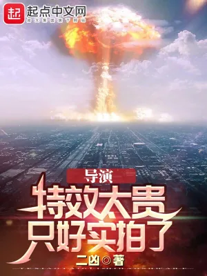 《导演：特效太贵，只好实拍了》小说封面