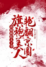 《改嫁疯批太子爷，旗袍美人艳翻京圈》小说封面
