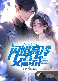 《高手下山：闪婚高冷女总裁》小说封面