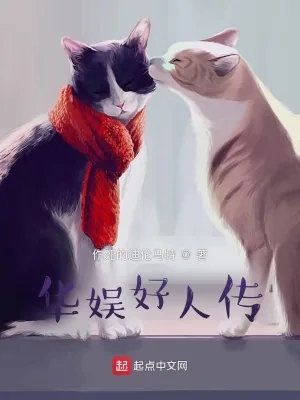 《华娱好人传》小说封面