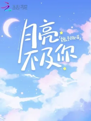 《月亮不及你》小说封面