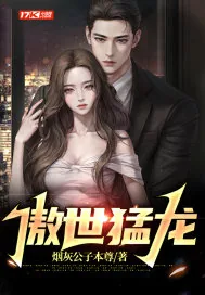 《傲世猛龙》小说封面