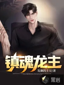 《镇魂龙主》小说封面