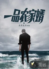 《一品农家婿》小说封面