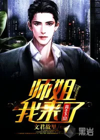 《高手下山：师姐我来了》小说封面