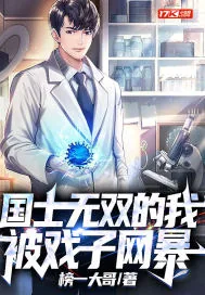 《国士无双的我，被戏子网暴》小说封面