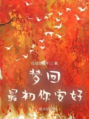 《梦回最初你安好》小说封面