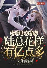 《婚后撕破伪装，陆总花样有亿点多》小说封面