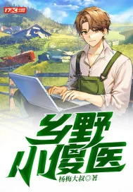 《乡野小傻医》小说封面