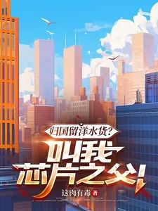 《归国留洋水货？叫我芯片之父！》小说封面