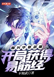 《振兴华夏武道:开局获得易筋经》小说封面