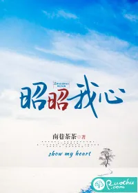 《昭昭我心》小说封面