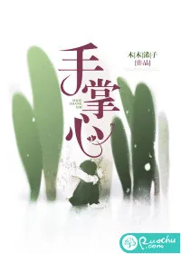 《手掌心》小说封面