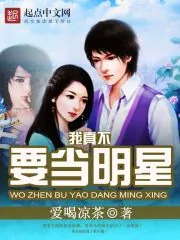 《我真不要当明星》小说封面