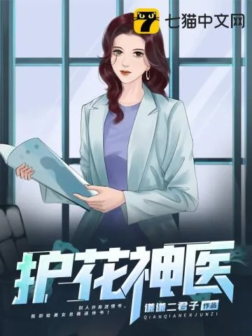 《护花神医》小说封面